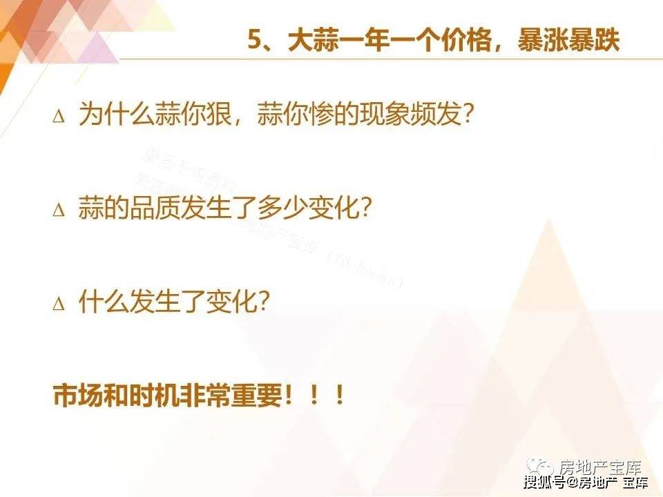 新澳门免费资料大全正版阅读，敏捷释义与落实的重要性