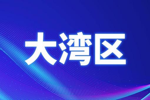 管家婆2024澳门正版资料与个性释义，深度解读与落实策略