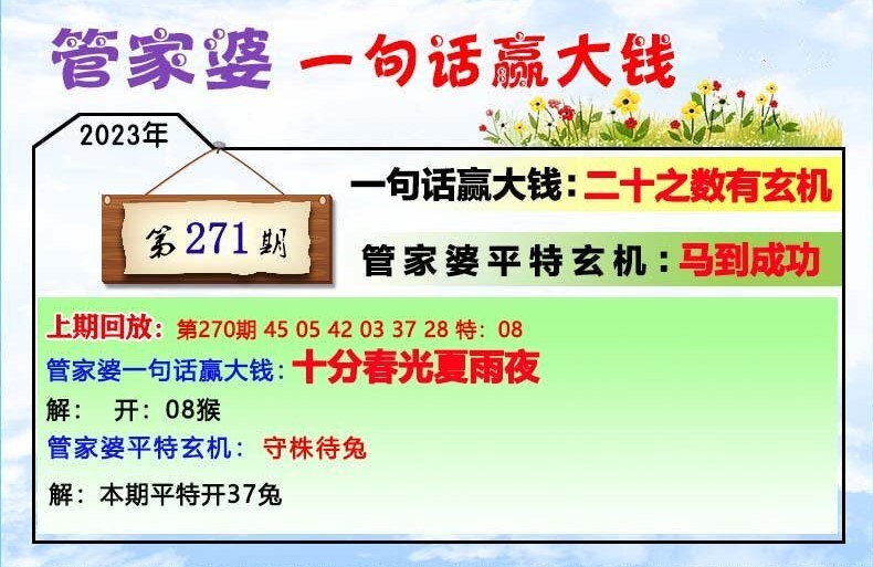 探索202管家婆一肖一码，释义、解释与落实的重要性