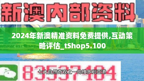 新澳2024年精准资料33期与闪电释义解释落实，探索与实践之路