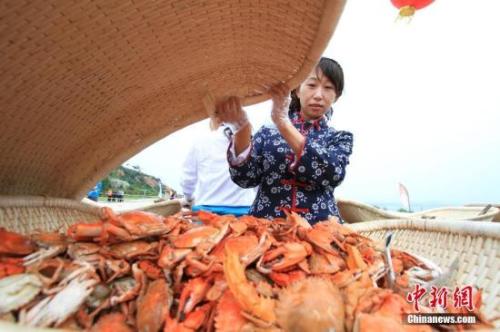 探索新澳，精准资料大全与多闻释义的落实之旅