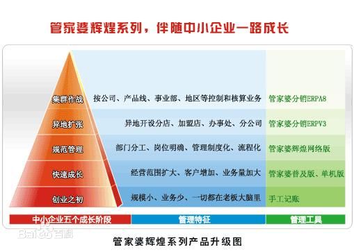 管家婆软件资料研究，展望2024年的开放释义与落实策略