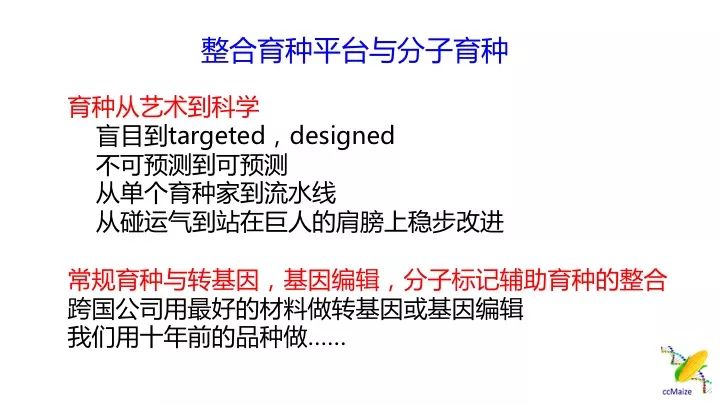 新澳门一码一码计划的释义、解释与落实，警惕背后的风险与挑战