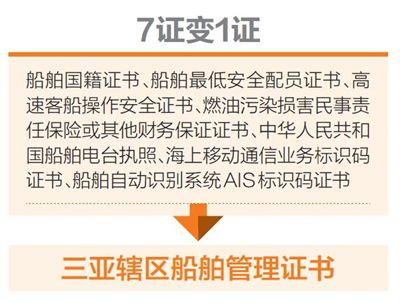 澳门一肖一码100准最准一肖，解读与落实策略