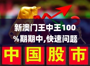 新澳门王中王期期中与外包释义解释落实的全面解读