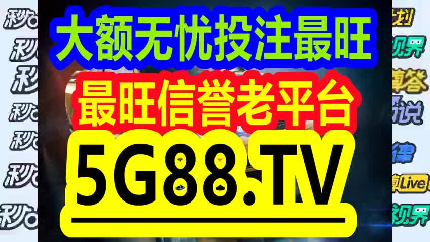 管家婆一码中一肖与化流释义，深入解析与实际应用