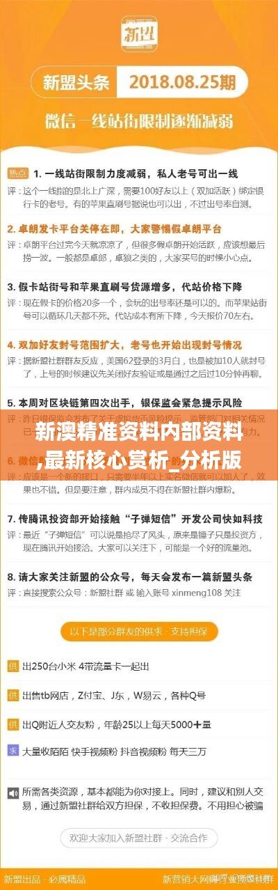 关于新澳精准资料免费提供的网站在2025年的执释义解释与落实策略