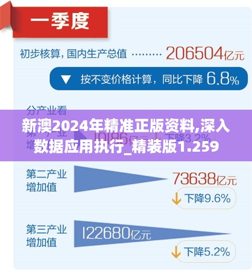 新澳2025年精准资料220期，工具释义解释落实