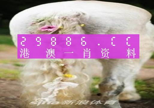 松江区石湖荡镇 第99页