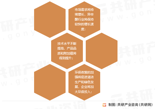 新澳2025年精准资料大全，深度分析与释义落实