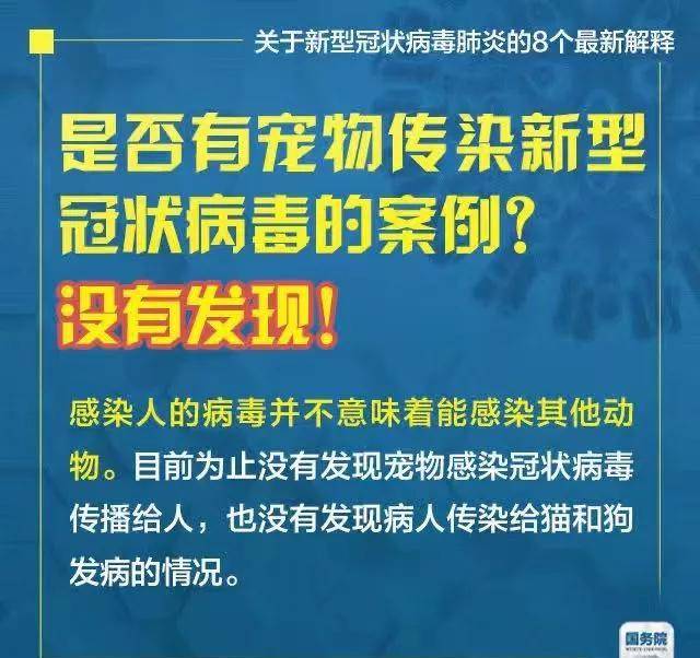 新澳门天天资料，释义解释与实施的深度探讨