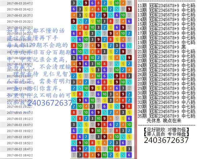 新澳门王中王100%期期中，深奥释义与落实之道