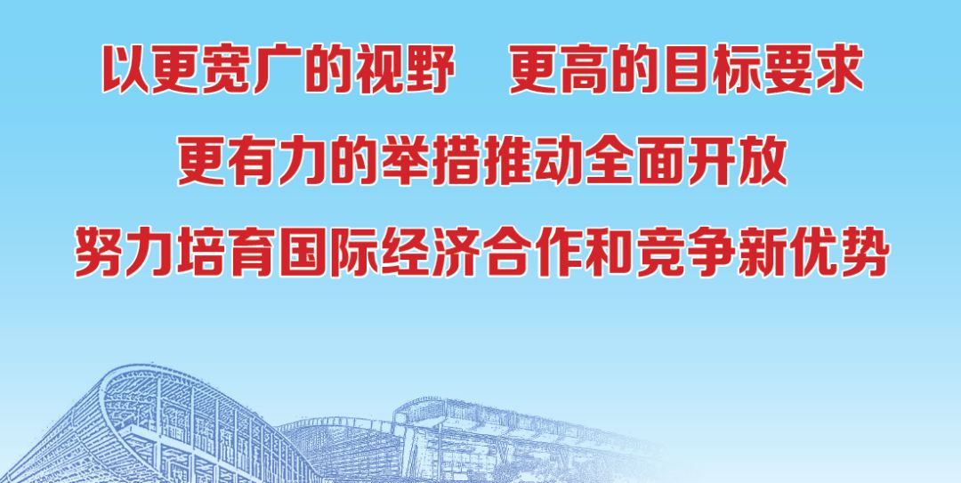 迈向2025，正版资料免费公开的实践与落实