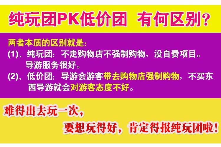 新澳天天开奖资料大全最新54期，绿色释义、解释与落实