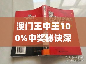 澳门王中王100%正确答案最新章节与释义解释落实的探讨