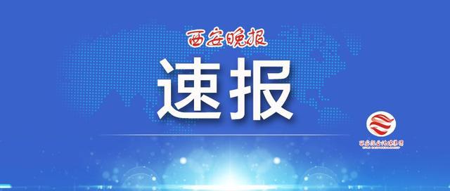 新澳门开奖结果背后的均衡释义与落实策略