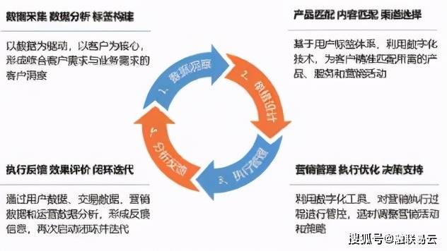 变革之路，新奥精准正版资料与落实策略的深度融合