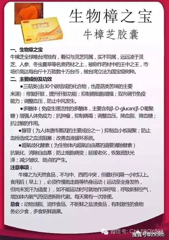 关于精准跑狗图正版与透彻释义解释落实的深度解析——以数字组合77777与88888为中心