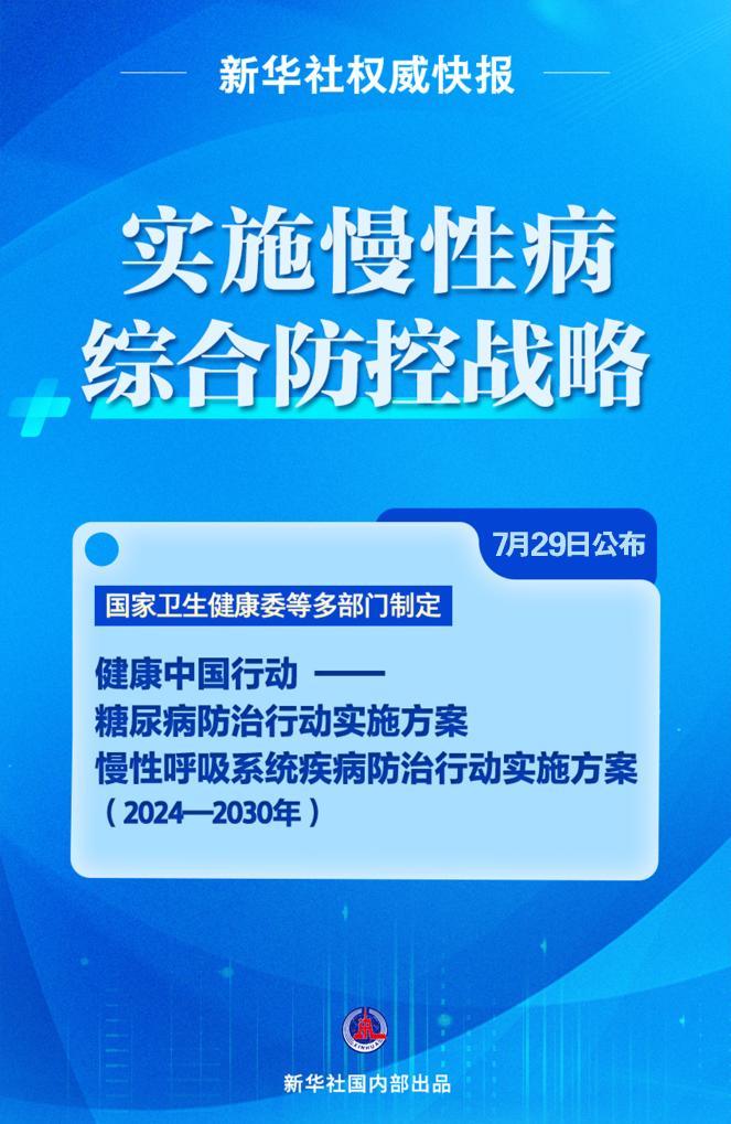 迈向2025年，正版资料免费大全下载的生态释义与实施策略