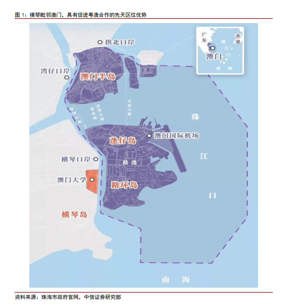 解析澳门特区未来展望，新澳门特免费资料的特点与实施策略