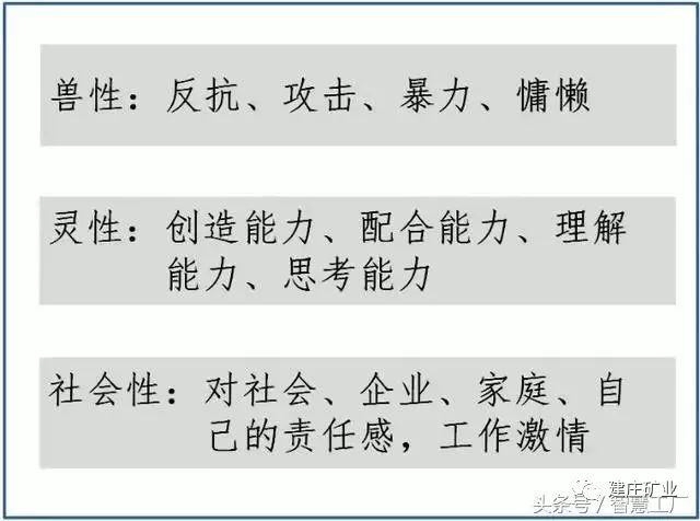 关于澳门特马四不像的真切释义与落实解析