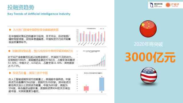 澳门王中王100%的资料与未来展望，2025年展望及外包释义解释落实策略