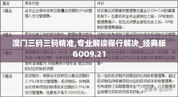 澳门三码三码精准，释义、解释与落实