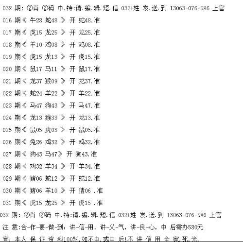 揭秘最准一码一肖与老钱庄，高贵释义下的精准预测与落实