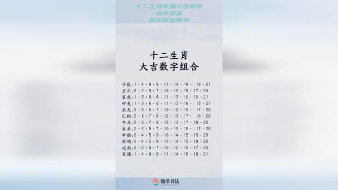 揭秘十二生肖与数字49的奥秘，损益释义与落实之道