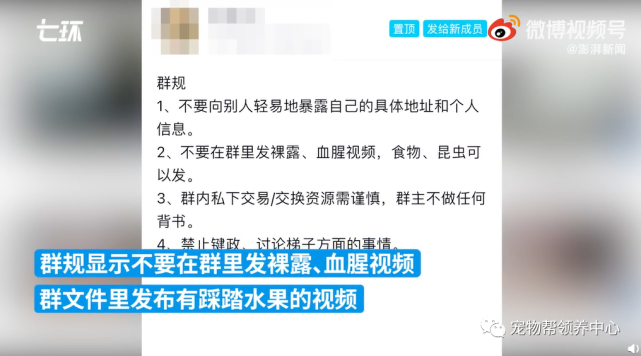 澳门开奖现场与开奖直播，流失释义解释与落实策略探讨