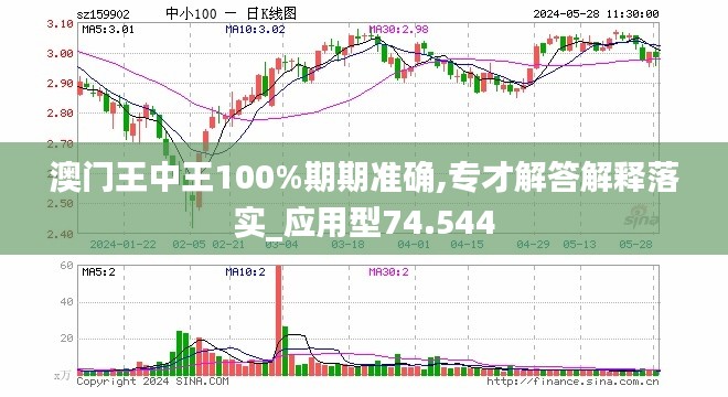 新澳门王中王期期中与外包释义解释落实的综合探讨