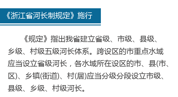 管家婆最准一肖一特，深度解析与关注释义解释落实的重要性