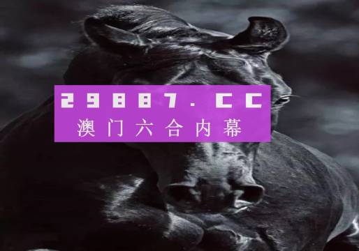 澳门4949开奖现场直播，未来的释义解释与落实展望