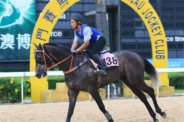 马会香港7777788888，进取释义、解释与落实的探讨