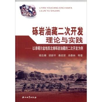 天空彩正版免费资料与创业释义，从理论到实践的落实之路