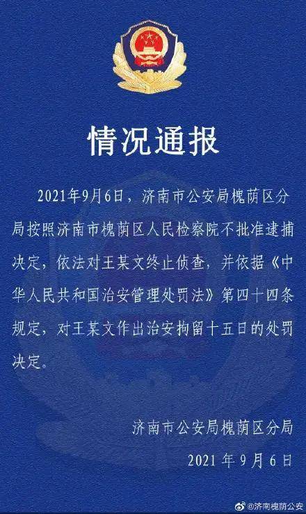 今期四不像图解读，政企释义与落实的重要性