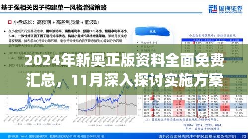 2025新澳精准正版资料与实效释义，落实的重要性