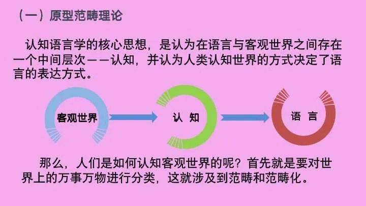 澳门王中王与释义解释落实，探索与认知