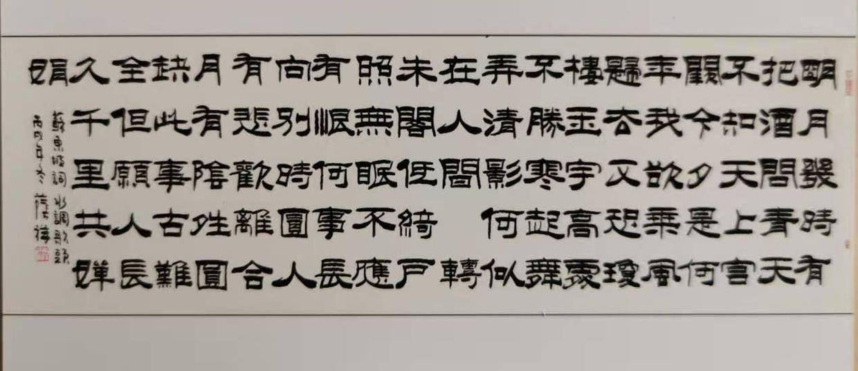 探索书法释义与落实行动，基于新澳精准正版资料的深度解读