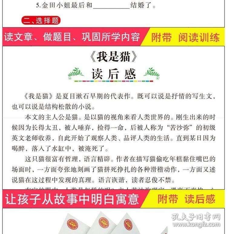 新奥彩天天开奖资料免费查询，探索释义、解释落实