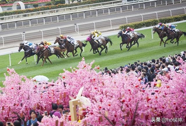 新澳门今晚开特马开奖与尊师释义的深入理解与实践